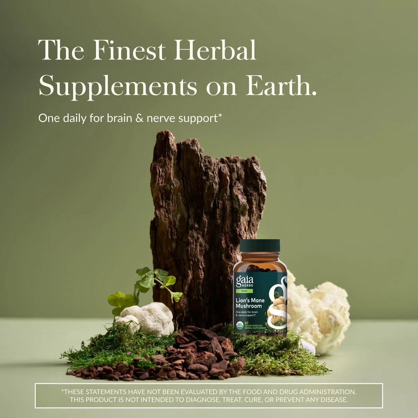 Gaia Herbs Lion's Mane Mushroom for Brain and Nerve Health Support - imprüv