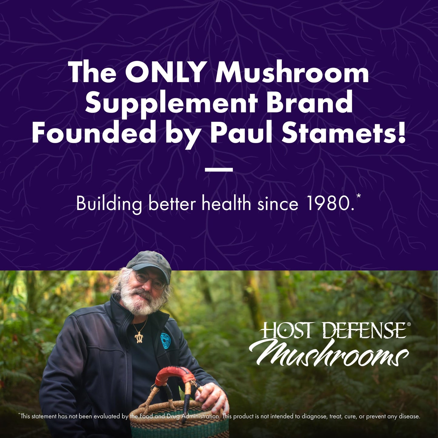 Host Defense Stamets 7 Mushroom Powder for Immune Health, 3.5 oz (66 Servings)