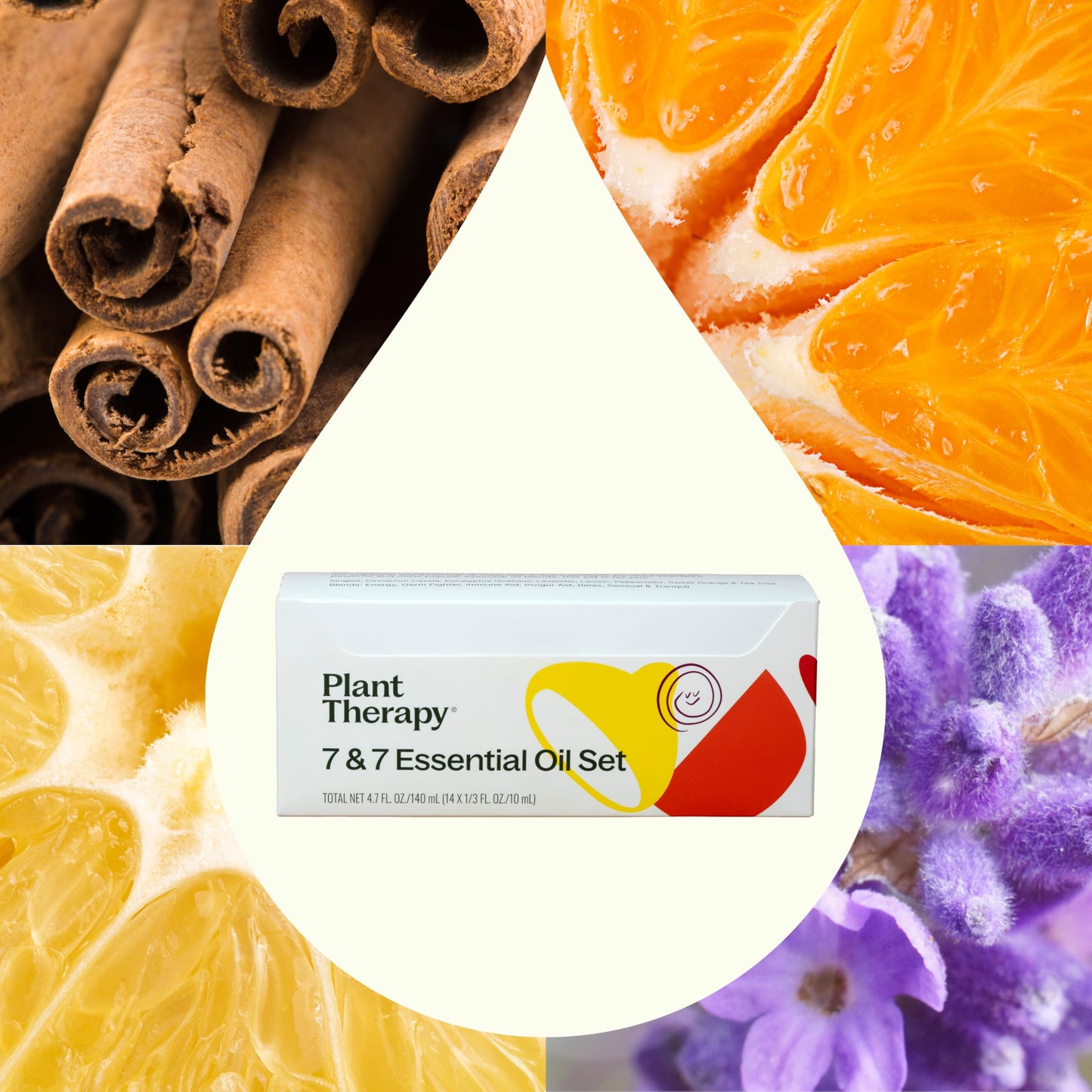 Essential Oil Set by Plant Therapy, 100% Pure Aromatherapy