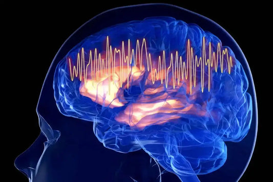 Neurology Meets Stillness: How Brainwaves Guide Deep Meditation - imprüv 