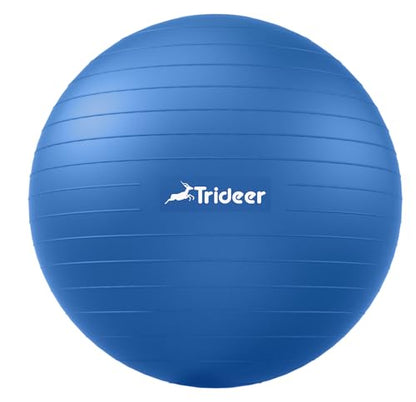 Swiss Exercise Ball for Physical Therapy, Balance, & Stability