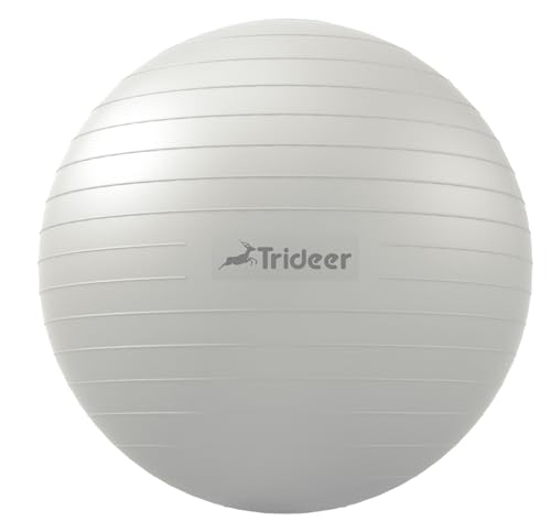 Swiss Exercise Ball for Physical Therapy, Balance, & Stability