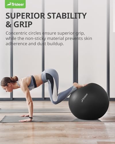 Swiss Exercise Ball for Physical Therapy, Balance, & Stability