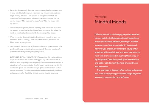 Practicing Mindfulness: 75 Essential Meditations to Find Peace - imprüv 
