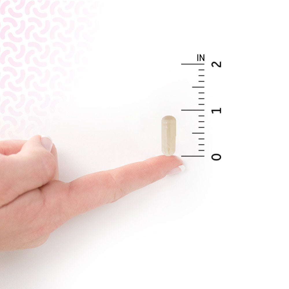 Garden of Life Dr Formulated Probiotics Mood+ with Ashwagandha - imprüv 