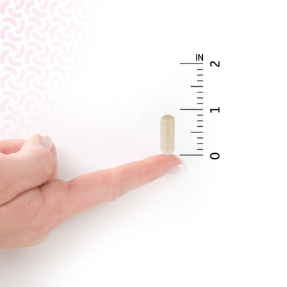 Garden of Life Dr Formulated Probiotics Mood+ with Ashwagandha - imprüv 