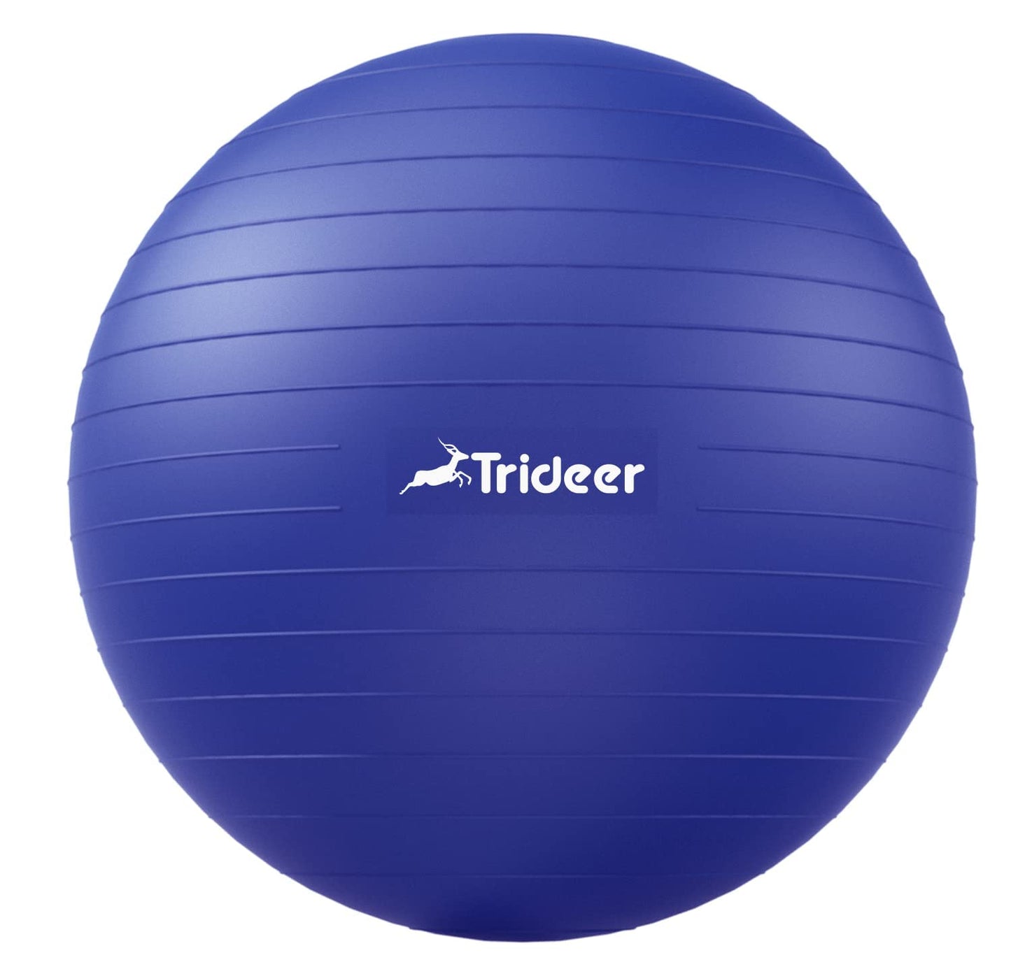 Swiss Exercise Ball for Physical Therapy, Balance, & Stability