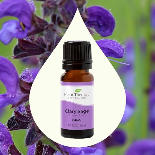 Plant Therapy 7 & 7 Essential Oils Set 7 Single Oils: Lavender, Peppermint & More, 7 Synergy Blends 100% Pure, Undiluted, Natural Aromatherapy, Therapeutic Grade 10 mL (1/3 oz)