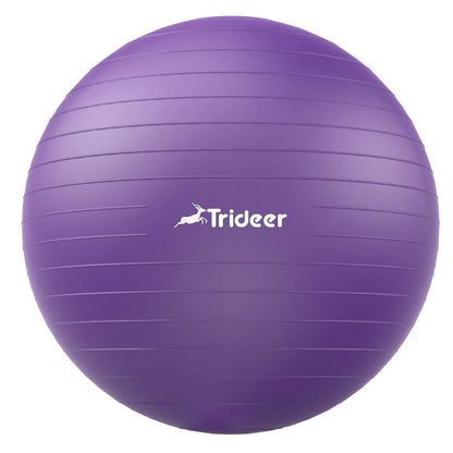 Swiss Exercise Ball for Physical Therapy, Balance, & Stability