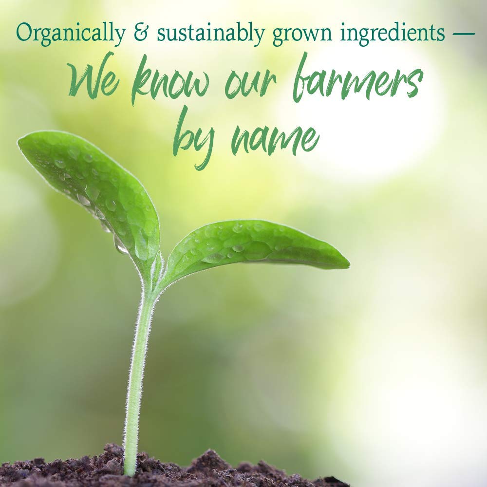 Garden of Life Raw Organic Perfect Superfood Juiced Greens Powder - imprüv 