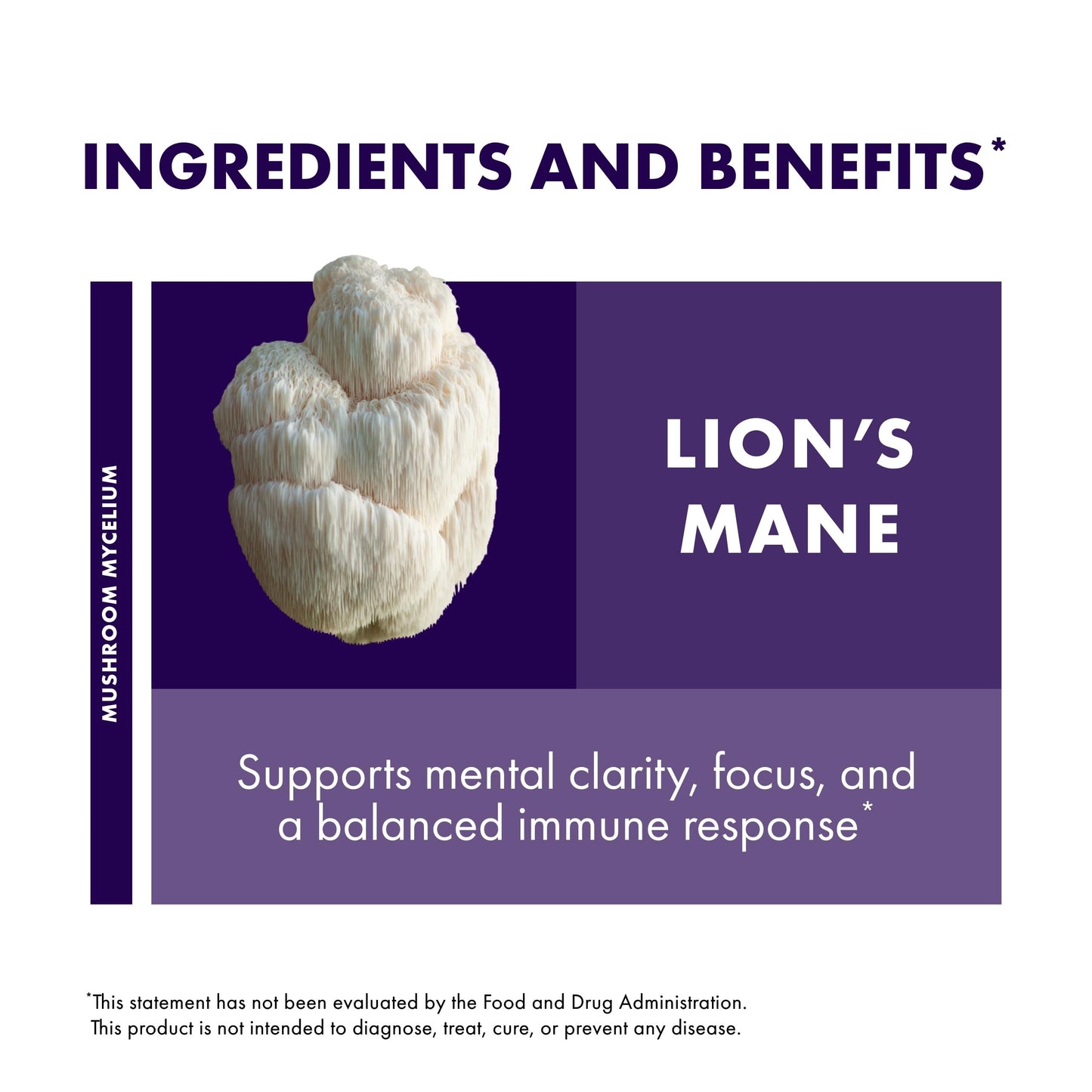 Host Defense Lion's Mane Mushroom Powder for Brain and Memory Support, 7 oz (133 Servings) - imprüv 