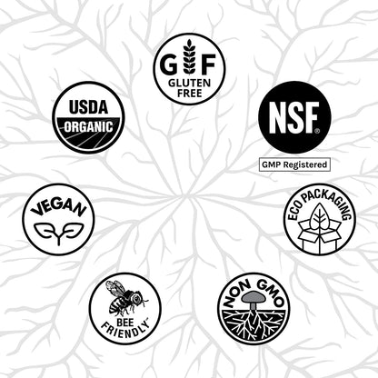 Host Defense Turkey Tail Mushroom Powder for Immune Balance, 7 oz (133 Servings) - imprüv 