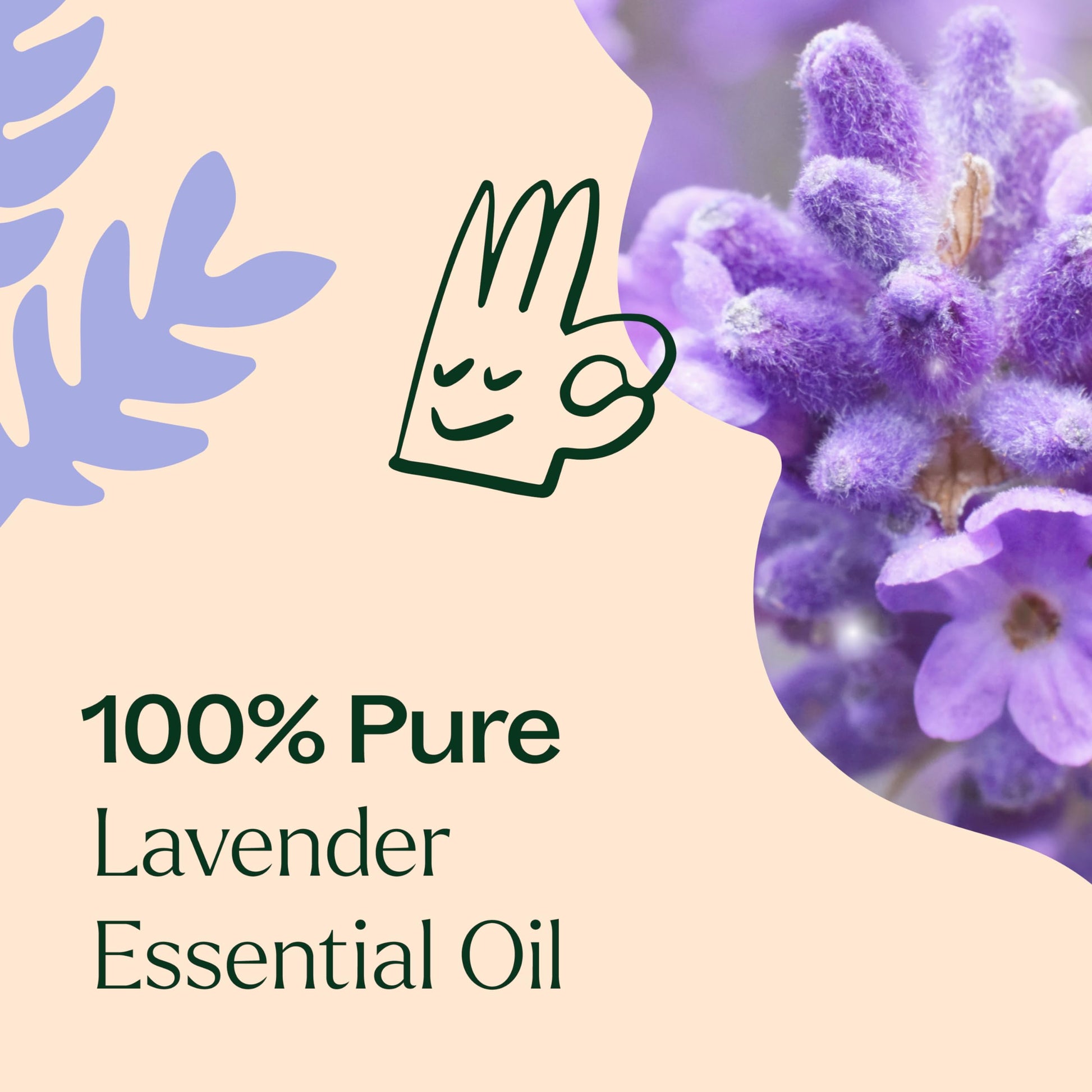 Plant Therapy 7 & 7 Essential Oils Set 7 Single Oils: Lavender, Peppermint & More, 7 Synergy Blends 100% Pure, Undiluted, Natural Aromatherapy, Therapeutic Grade 10 mL (1/3 oz)