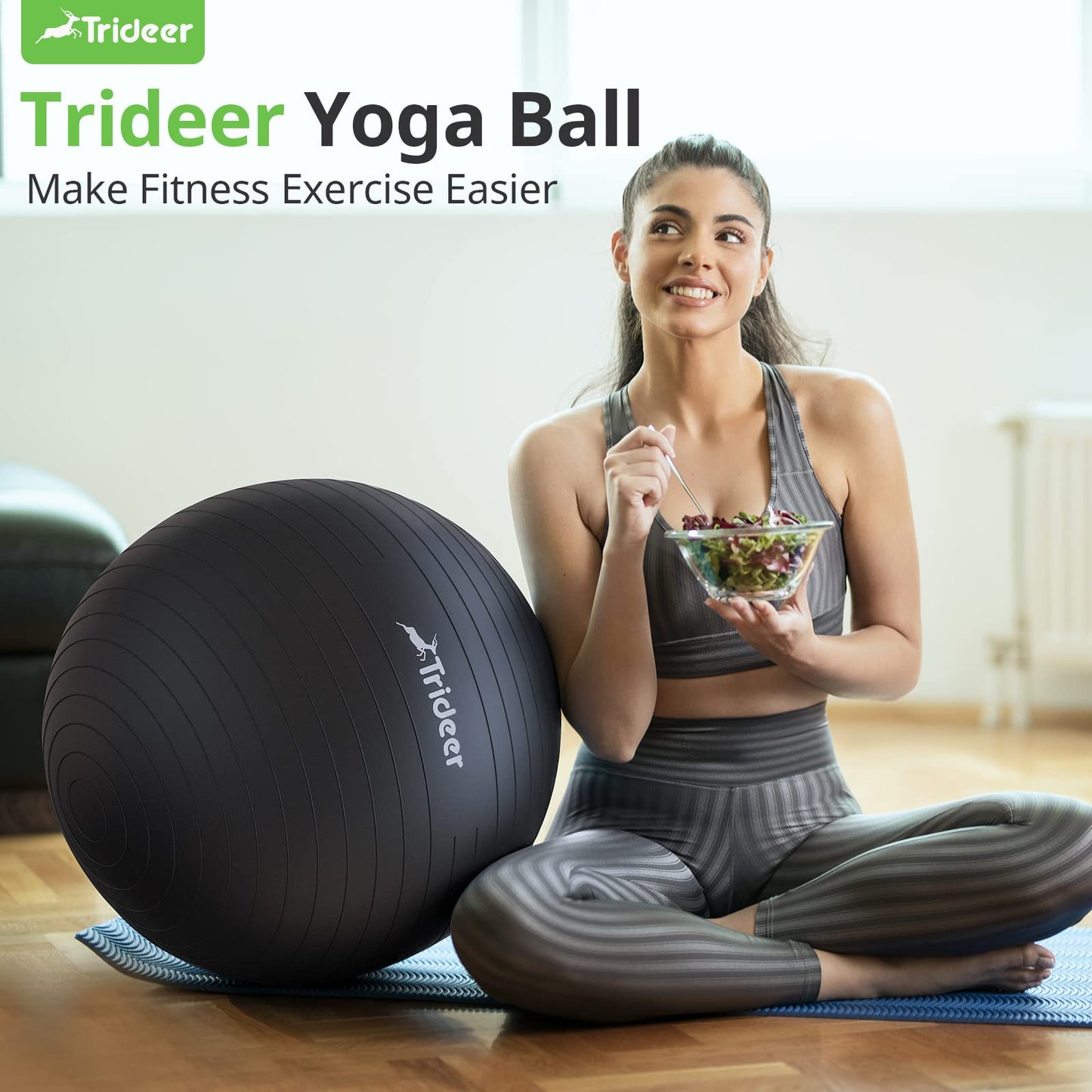 Swiss Exercise Ball for Physical Therapy, Balance, & Stability