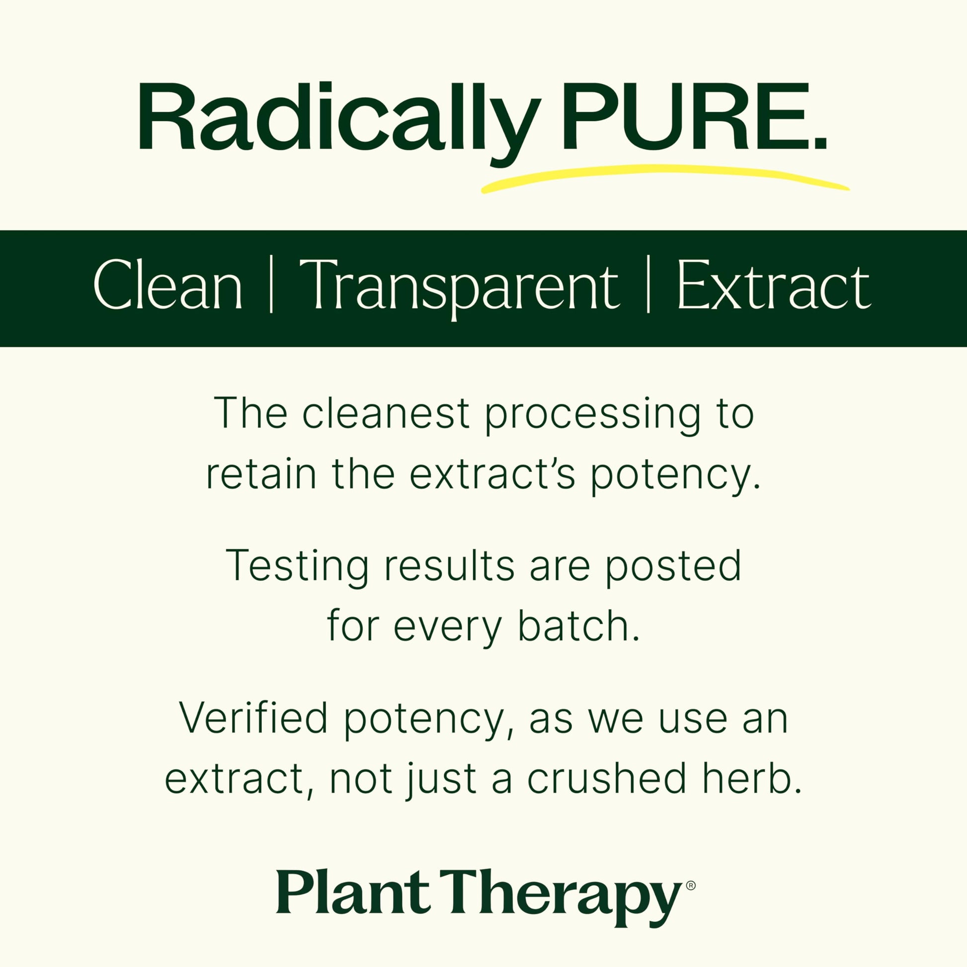 Plant Therapy Moringa Capsules for Detox and Immune Support, 120 Capsules - imprüv 