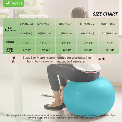 Swiss Exercise Ball for Physical Therapy, Balance, & Stability