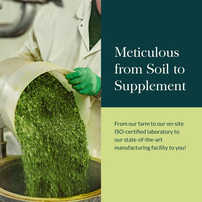 Gaia Herbs Oil of Oregano for Immune & Antioxidant Support - imprüv 