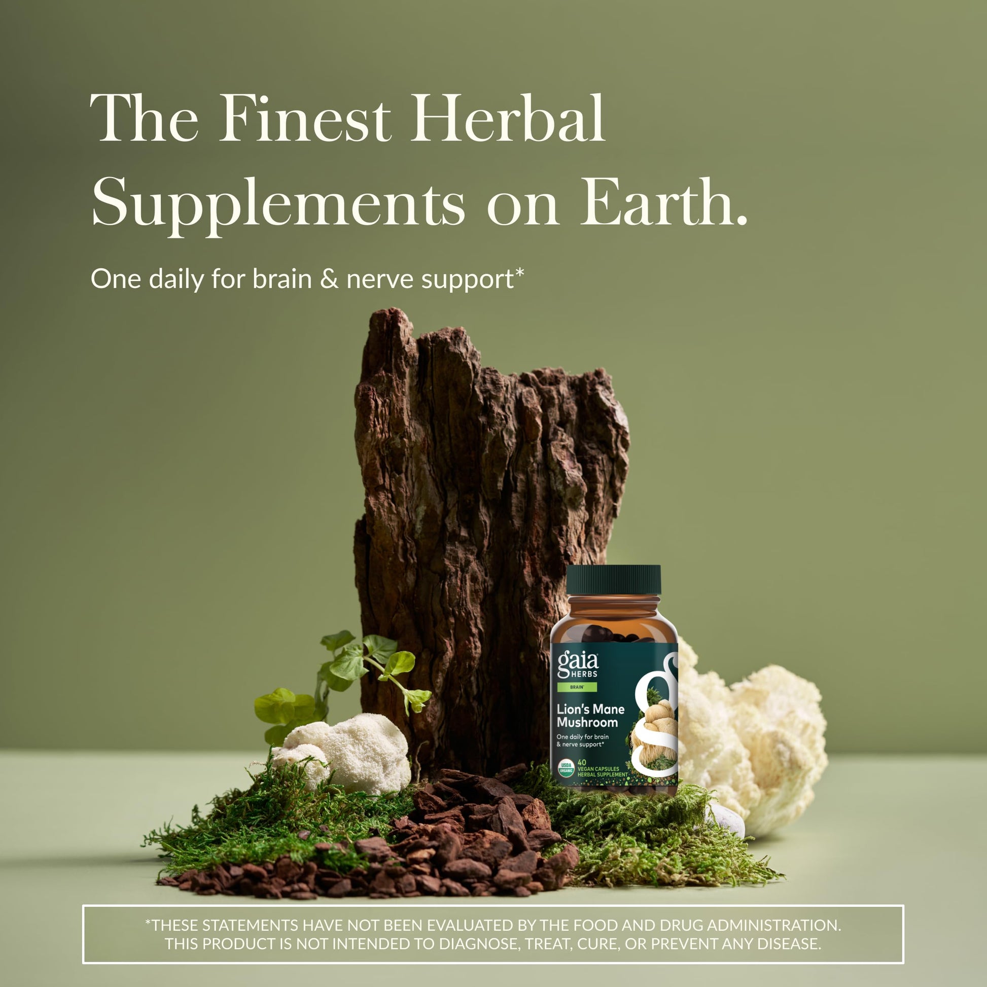 Gaia Herbs Lion's Mane Mushroom for Brain and Nerve Health Support - imprüv 