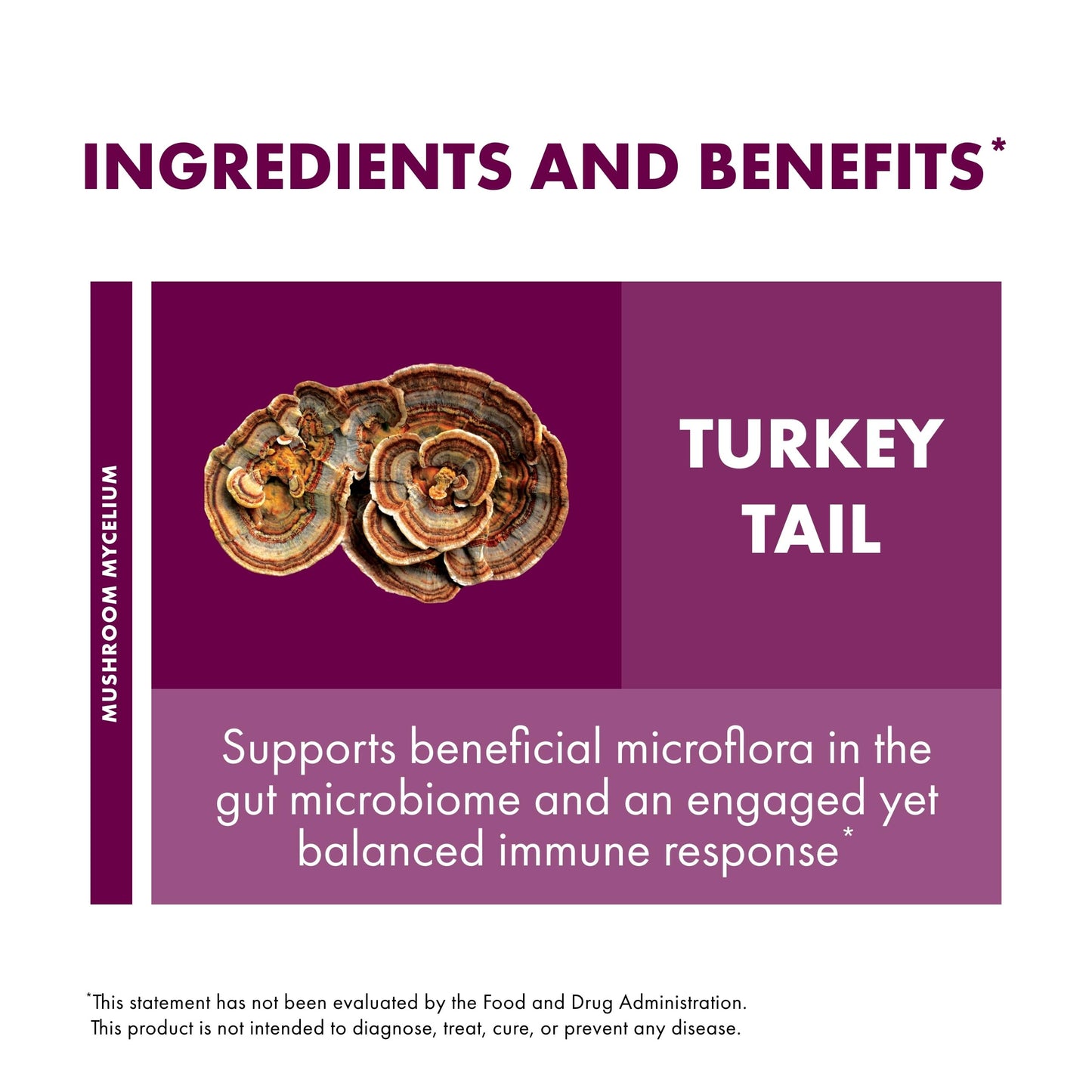 Host Defense Turkey Tail Mushroom Powder for Immune Balance, 7 oz (133 Servings) - imprüv 