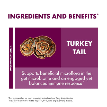 Host Defense Turkey Tail Mushroom Powder for Immune Balance, 7 oz (133 Servings) - imprüv 
