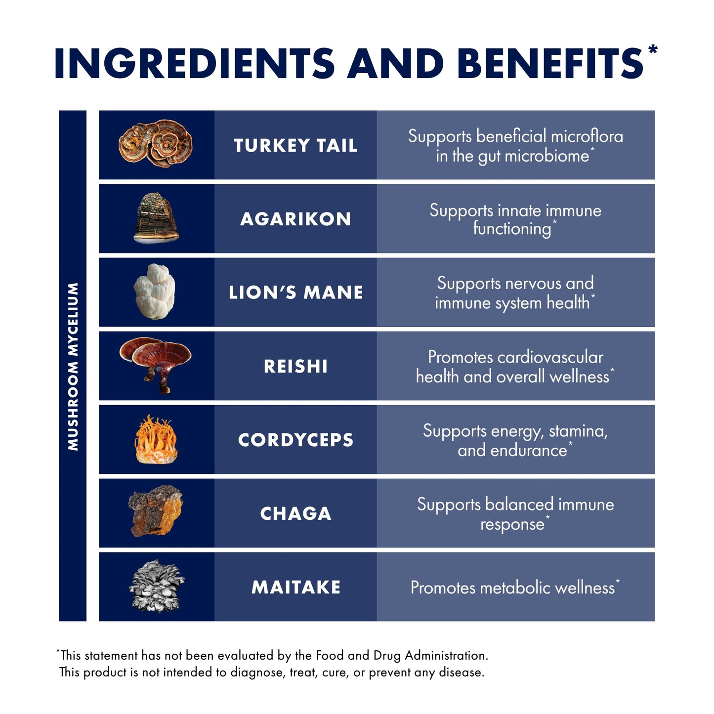 Host Defense MyCommunity 17 Species Mushroom Powder Blend, 3.5 oz (66 Servings) - imprüv 