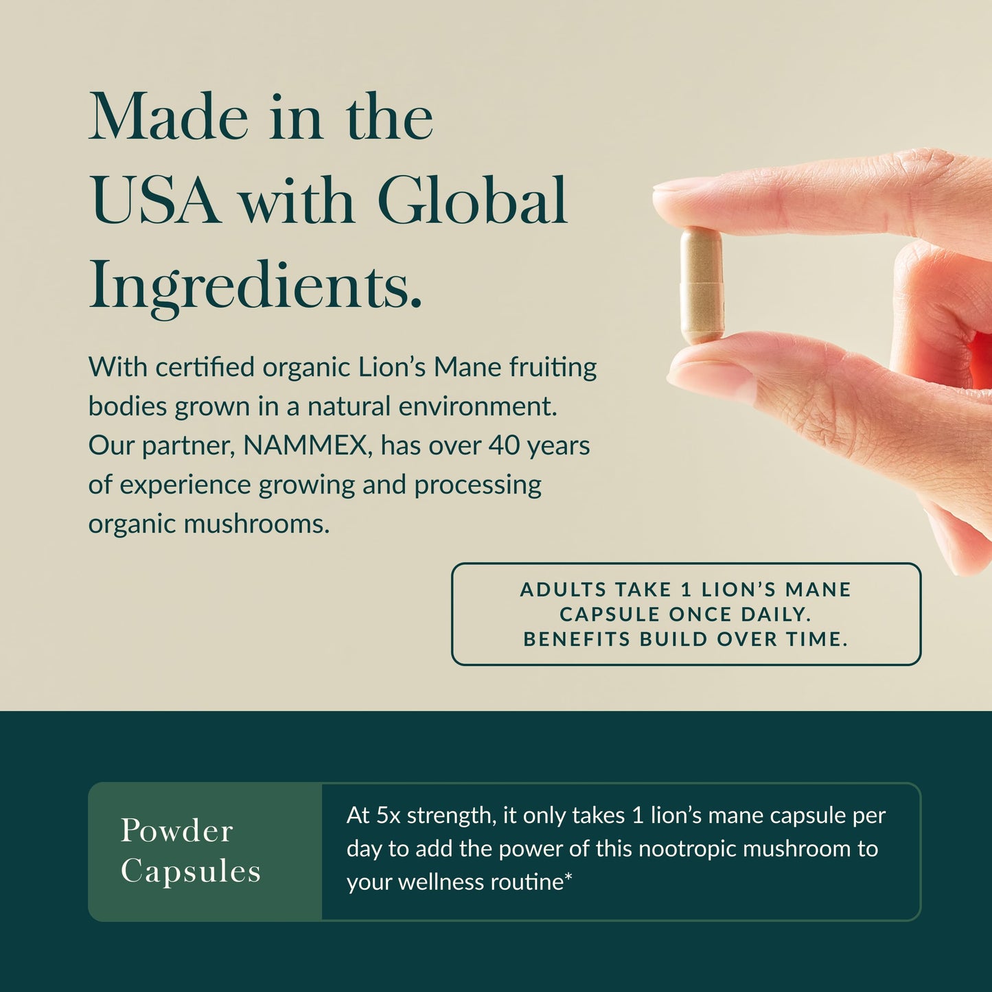 Gaia Herbs Lion's Mane Mushroom for Brain and Nerve Health Support - imprüv 