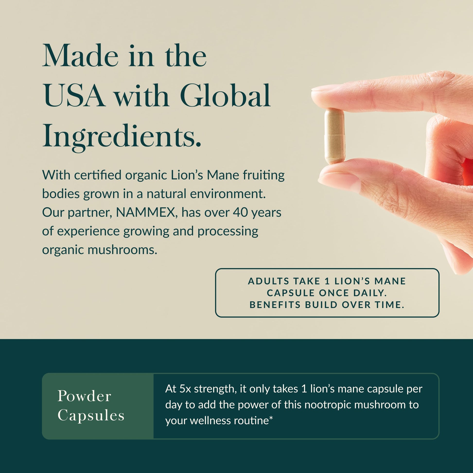 Gaia Herbs Lion's Mane Mushroom for Brain and Nerve Health Support - imprüv 