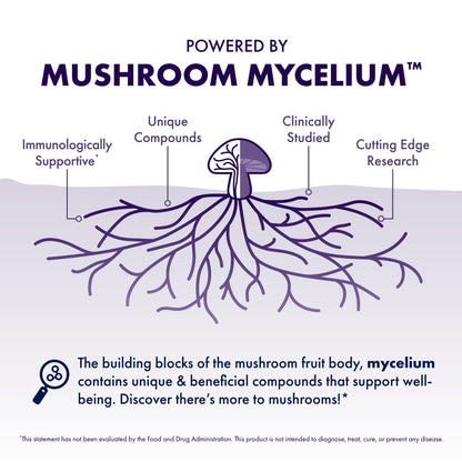 Host Defense Lion's Mane Mushroom Powder for Brain and Memory Support, 7 oz (133 Servings) - imprüv 