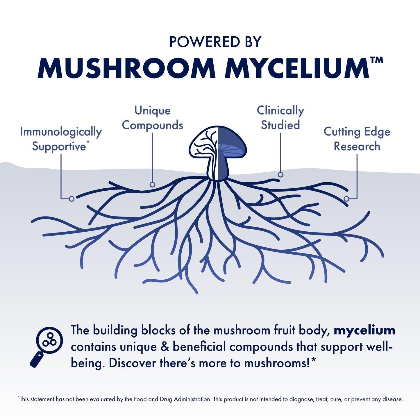 Host Defense MyCommunity 17 Species Mushroom Powder Blend, 3.5 oz (66 Servings) - imprüv 