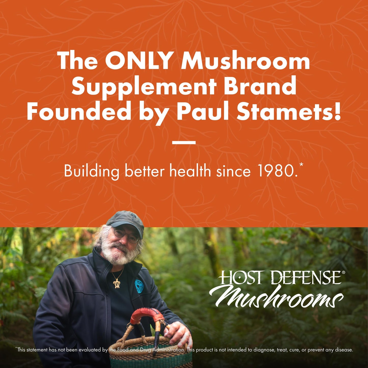 Host Defense Breathe Mushroom Powder Blend for Respiratory Support, 3.5 oz (66 Servings) - imprüv 