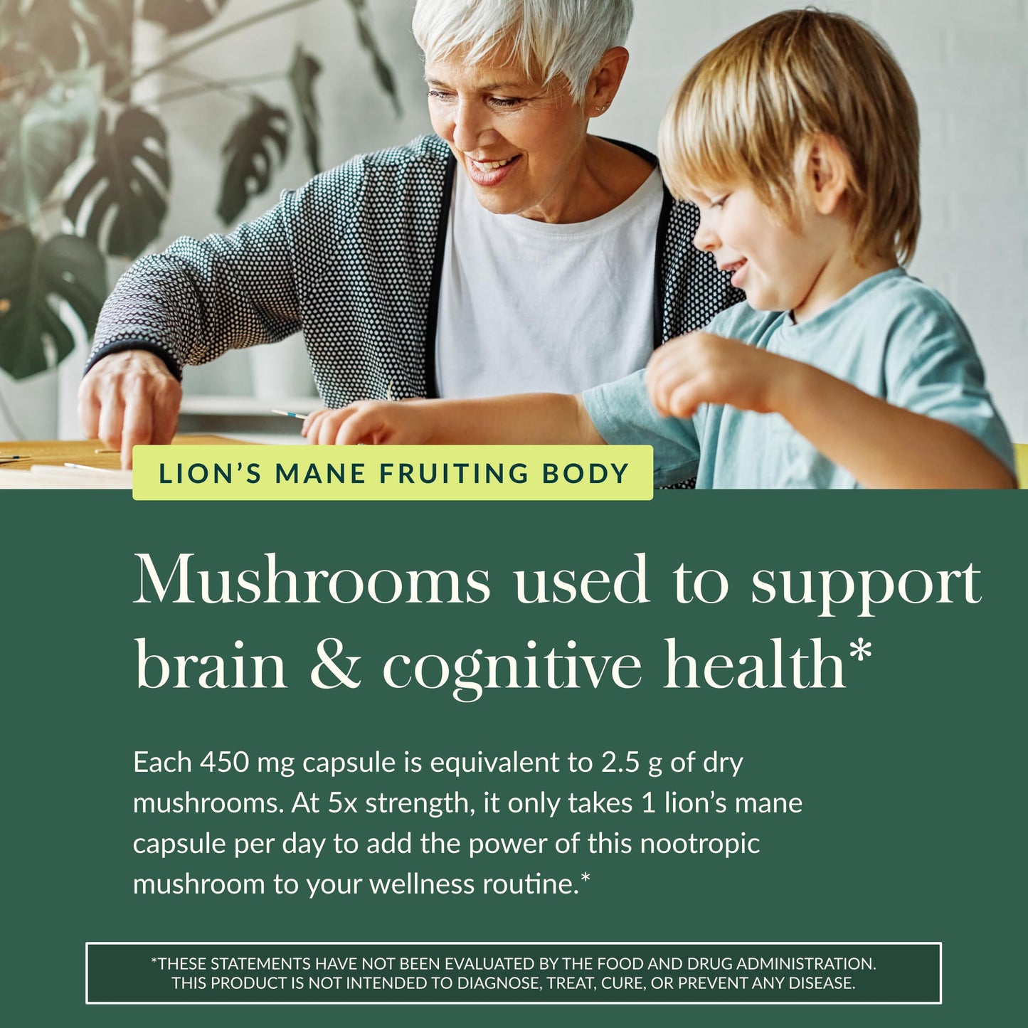 Gaia Herbs Lion's Mane Mushroom for Brain and Nerve Health Support - imprüv 