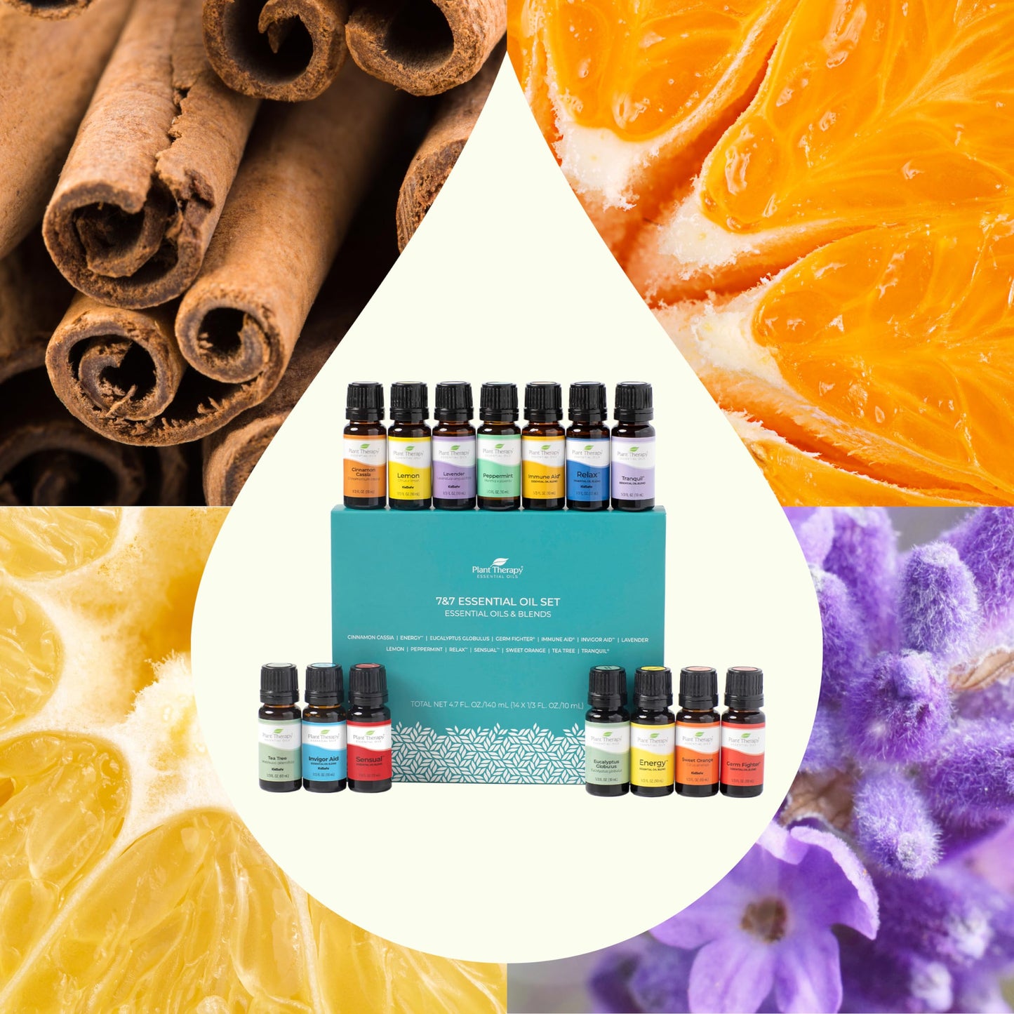 Plant Therapy 7 & 7 Essential Oils Set 7 Single Oils: Lavender, Peppermint & More, 7 Synergy Blends 100% Pure, Undiluted, Natural Aromatherapy, Therapeutic Grade 10 mL (1/3 oz)