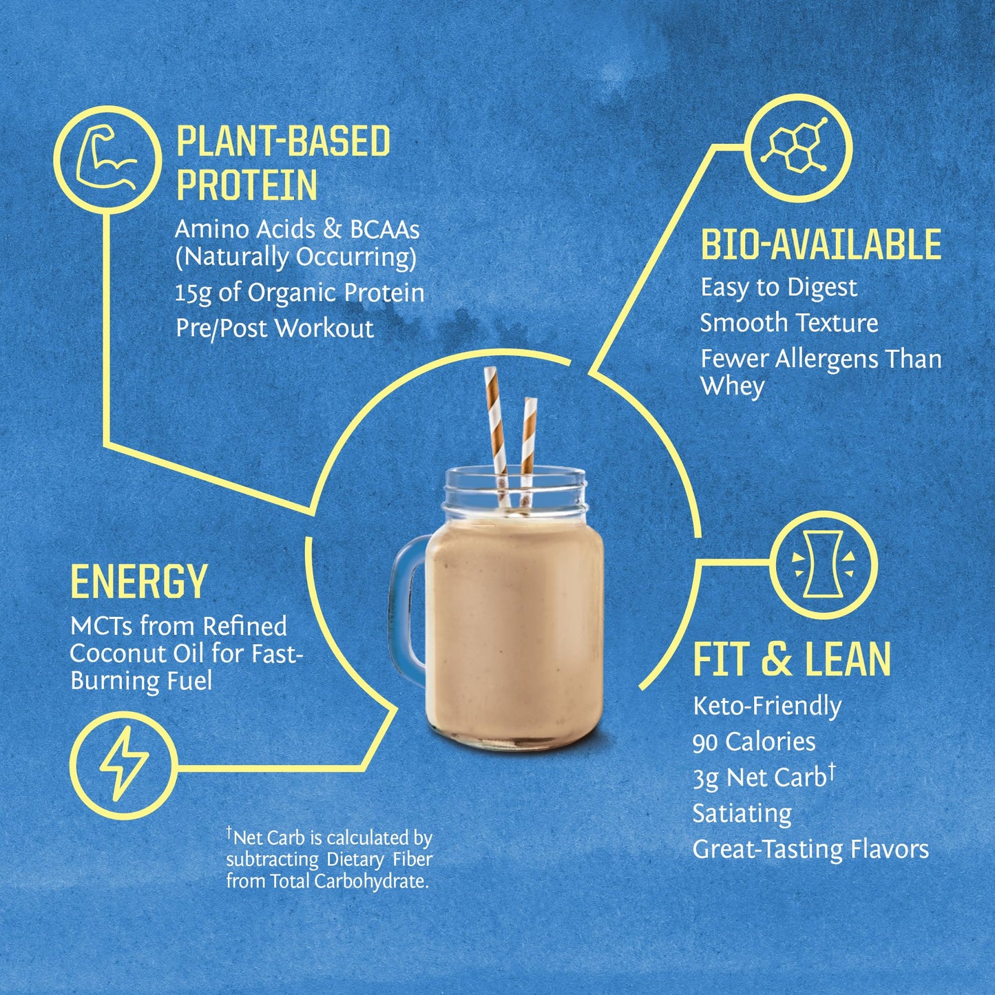 Vegan Organic Protein Powder Plant-based | BCAA Amino Acids Hemp Seed Soy Free Dairy Free Gluten Free Synthetic Free NON-GMO | Chocolate 30 Servings | Warrior Blend by Sunwarrior.