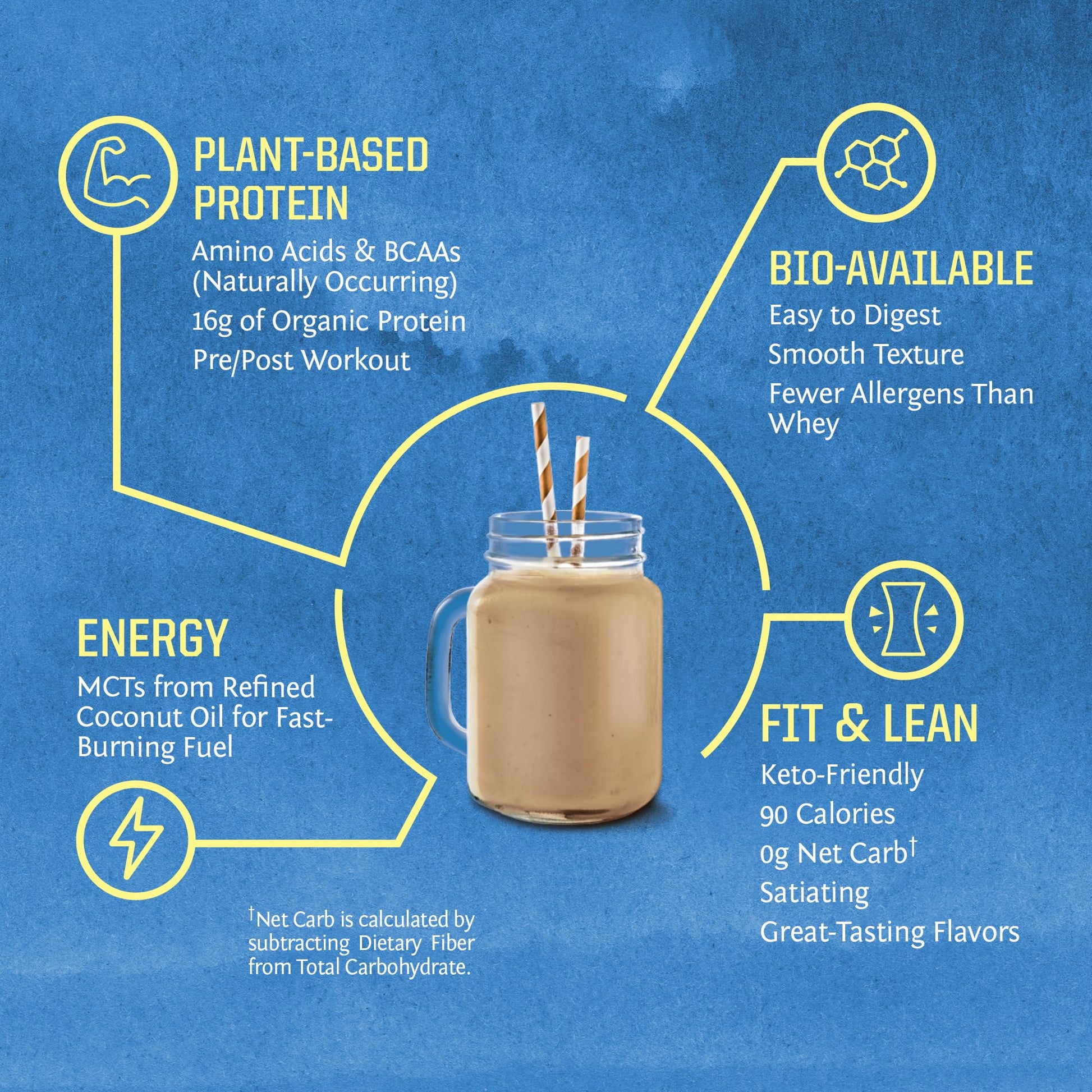 Vegan Organic Protein Powder Plant-based | BCAA Amino Acids Hemp Seed Soy Free Dairy Free Gluten Free Synthetic Free NON-GMO | Chocolate 30 Servings | Warrior Blend by Sunwarrior.