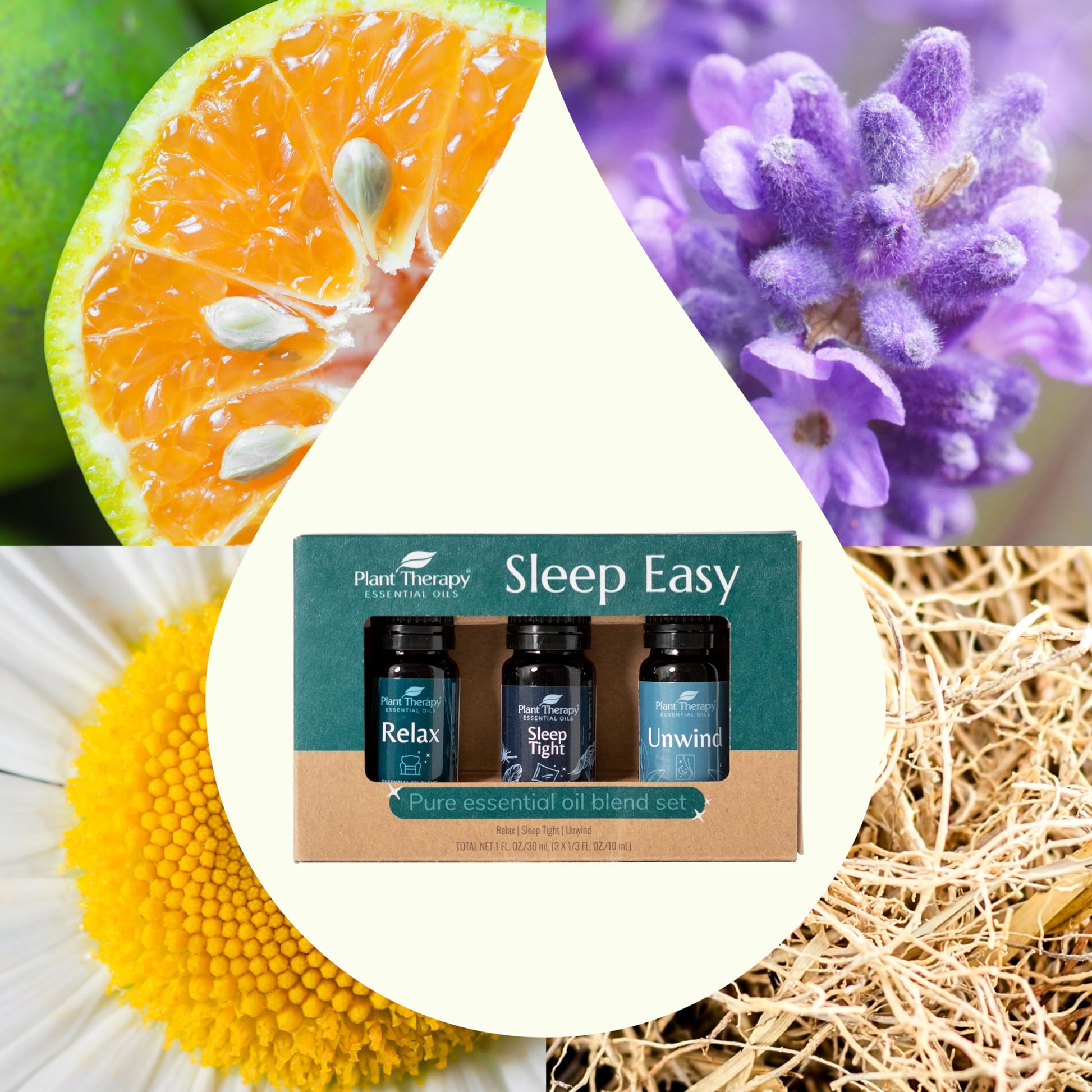 Plant Therapy 7 & 7 Essential Oils Set 7 Single Oils: Lavender, Peppermint & More, 7 Synergy Blends 100% Pure, Undiluted, Natural Aromatherapy, Therapeutic Grade 10 mL (1/3 oz)