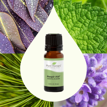 Plant Therapy 7 & 7 Essential Oils Set 7 Single Oils: Lavender, Peppermint & More, 7 Synergy Blends 100% Pure, Undiluted, Natural Aromatherapy, Therapeutic Grade 10 mL (1/3 oz)