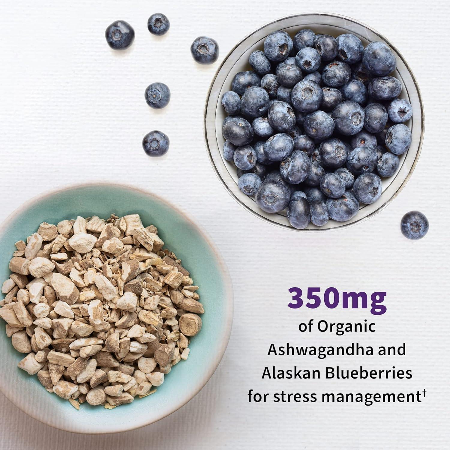 Garden of Life Dr. Formulated Probiotics Mood+ with Ashwagandha for Emotional Well-Being, Stress Support, and Digestive Balance - imprüv  