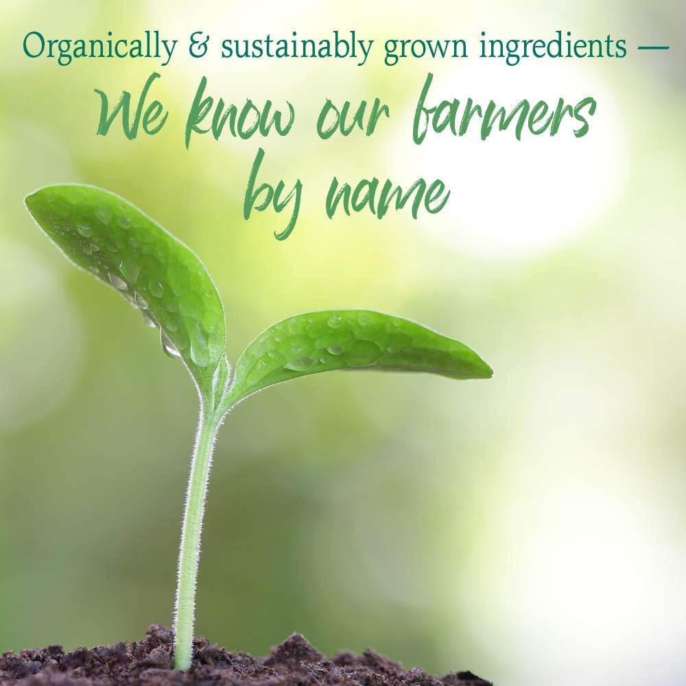 Garden of Life Raw Organic Perfect Food, Stevia-Free Green Superfood Powder to Alkalize, Detoxify, and Energize - imprüv  