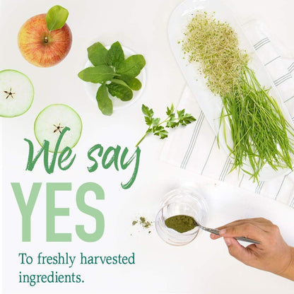 Garden of Life Raw Organic Perfect Food, Stevia-Free Green Superfood Powder to Alkalize, Detoxify, and Energize - imprüv  