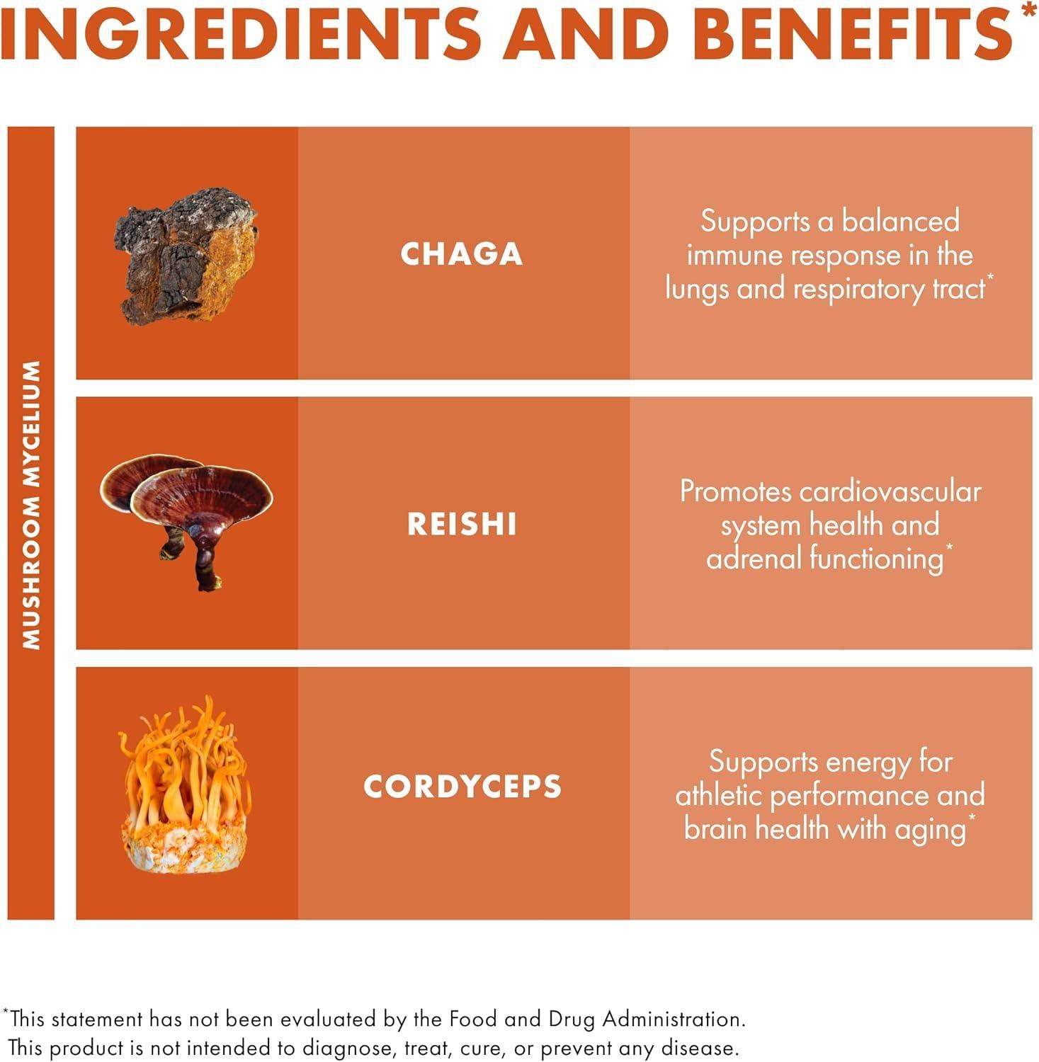 Host Defense Breathe* Mushroom Powder Blend for Lung and Respiratory Health - imprüv  