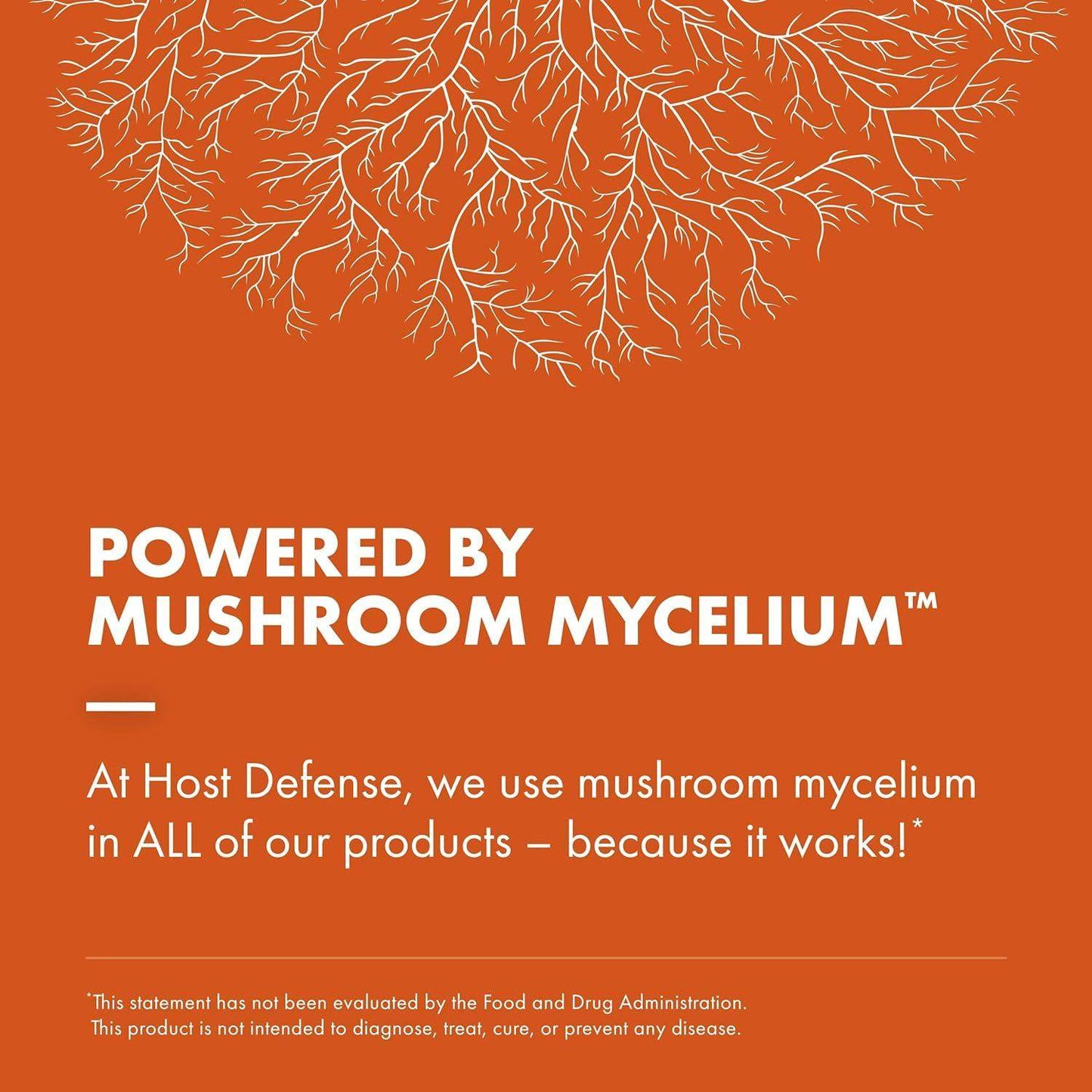 Host Defense Breathe* Mushroom Powder Blend for Lung and Respiratory Health - imprüv  