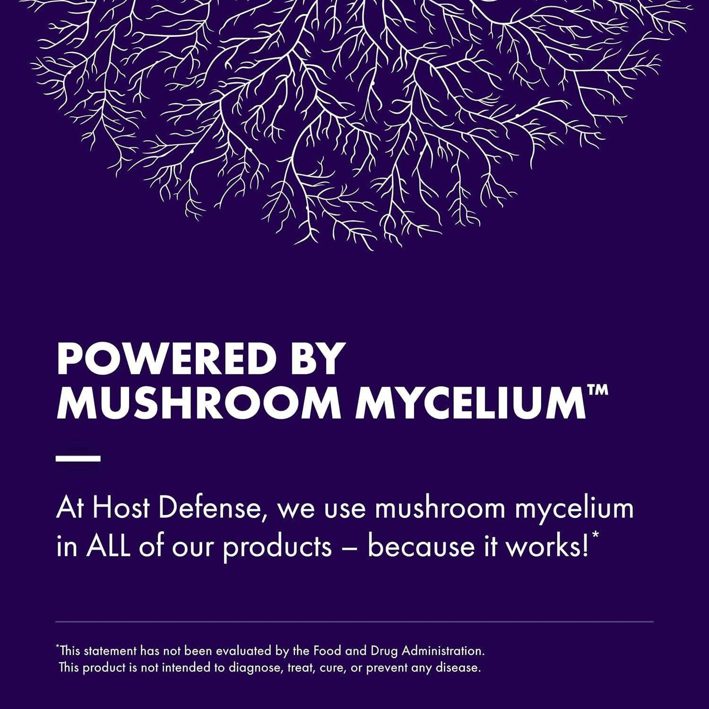 Host Defense Lion's Mane Mushroom Powder for Brain and Nerve Health to Support Immune and Nervous Systems - imprüv  