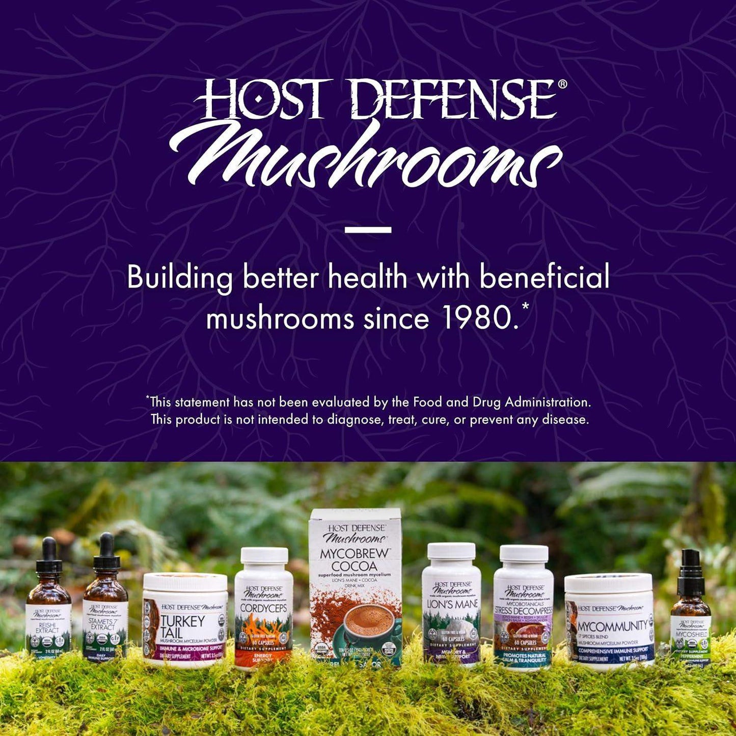 Host Defense Lion's Mane Mushroom Powder for Brain and Nerve Health to Support Immune and Nervous Systems - imprüv  