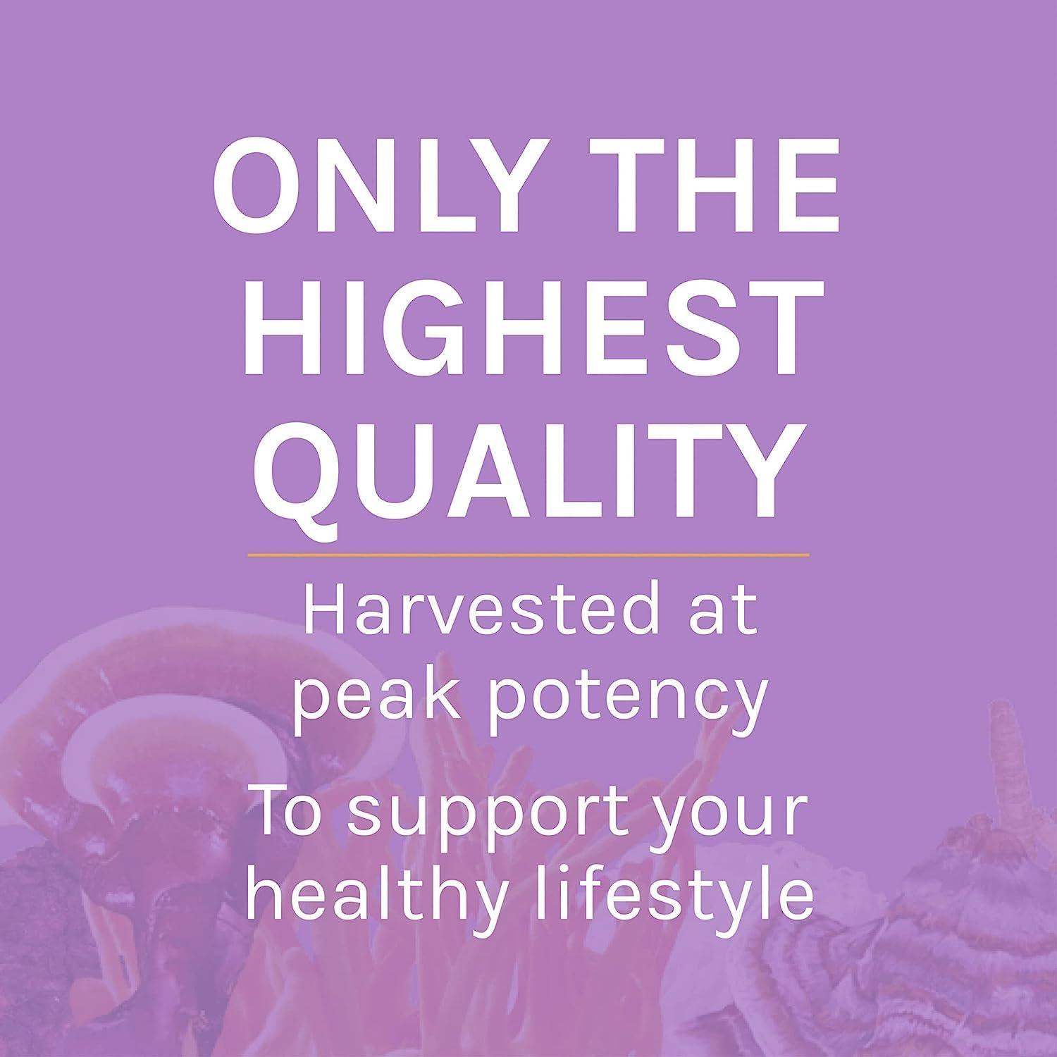 Host Defense Lion's Mane Mushroom Powder for Brain and Nerve Health to Support Immune and Nervous Systems - imprüv  