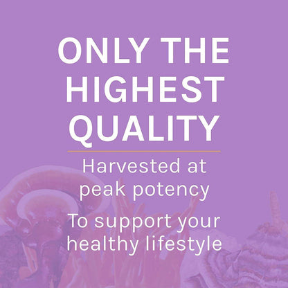Host Defense Lion's Mane Mushroom Powder for Brain and Nerve Health to Support Immune and Nervous Systems - imprüv  