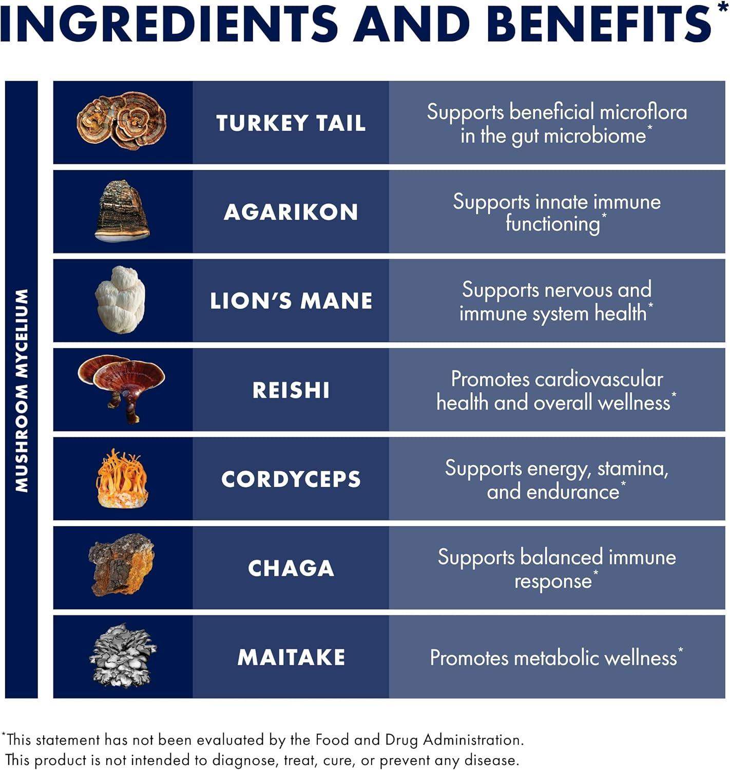 Host Defense MyCommunity 17 Species Mushroom Powder Blend for Comprehensive Immune Support - imprüv  