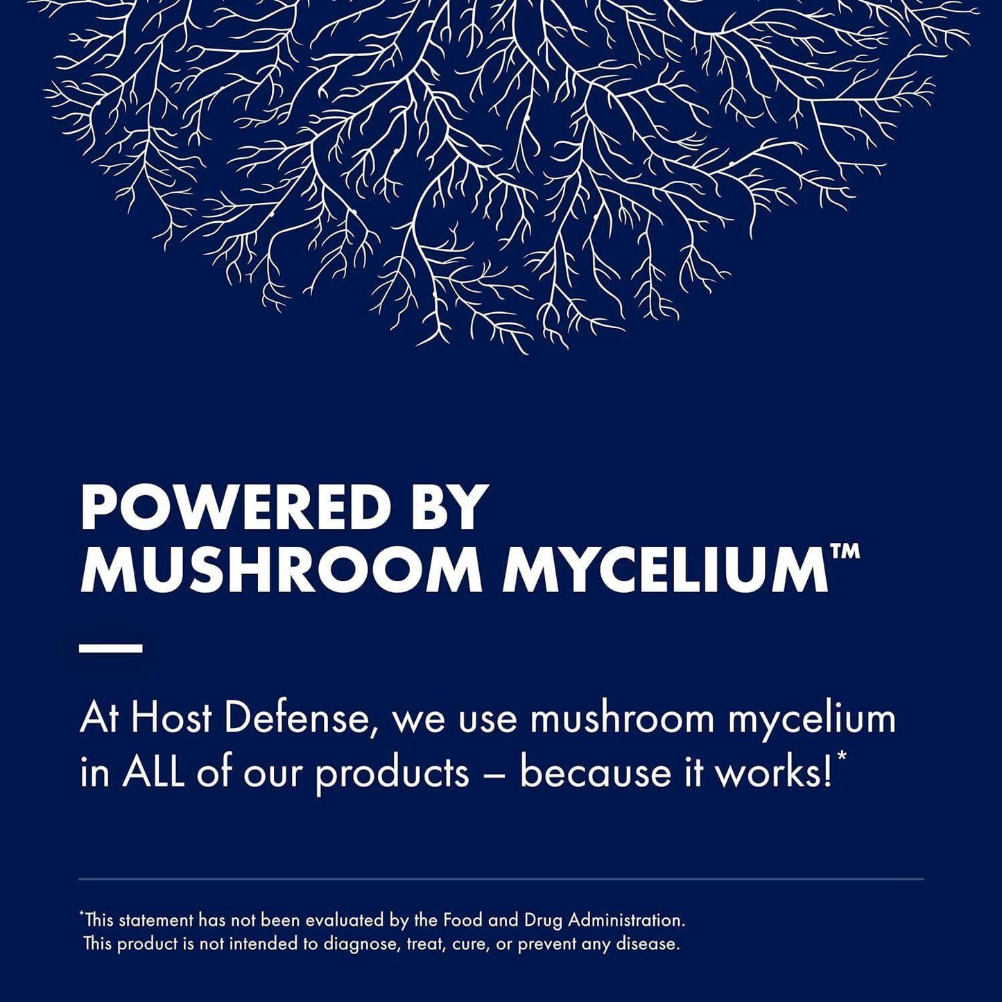 Host Defense MyCommunity 17 Species Mushroom Powder Blend for Comprehensive Immune Support - imprüv  