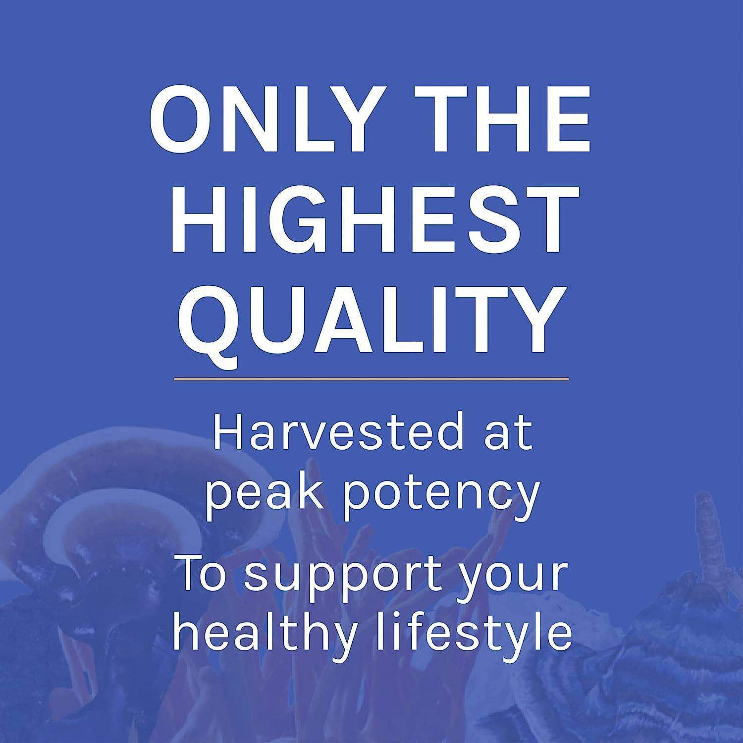 Host Defense Stamets 7 Multi-Mushroom Powder Blend for Immune Health, Energy, and Stress Support - imprüv  