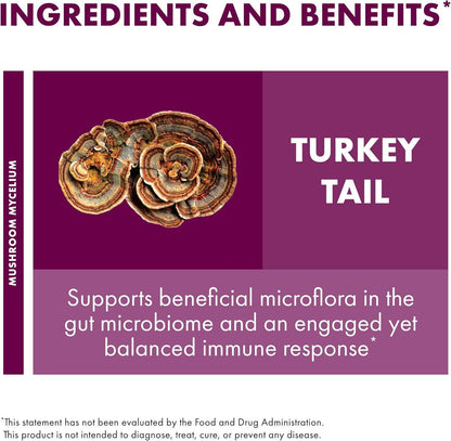 Host Defense Turkey Tail Mushroom Powder Blend for Immune Modulation and Gut Microbiome Balance - imprüv  