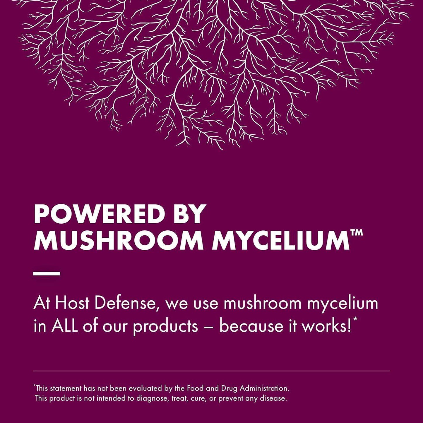 Host Defense Turkey Tail Mushroom Powder Blend for Immune Modulation and Gut Microbiome Balance - imprüv  